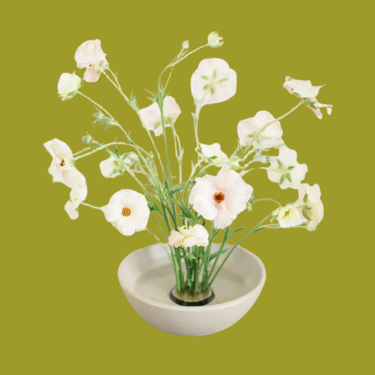 Aiko Flower Frog